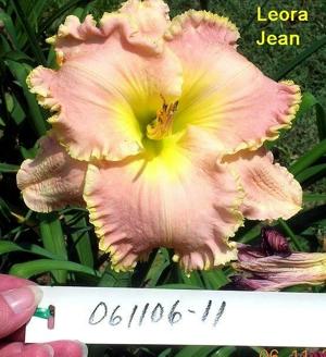 Leora Jean (2008)